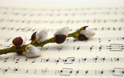 Sheet music with a pussy willow branch on top of it
