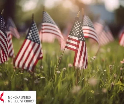 American flags placed in the grass
